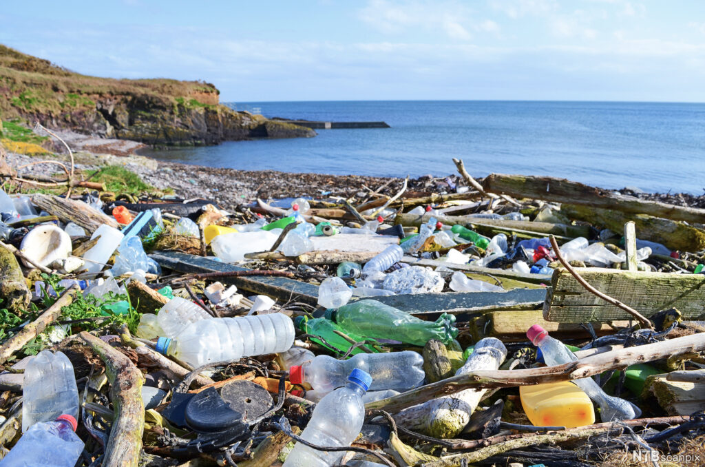 Ocean Dumping
